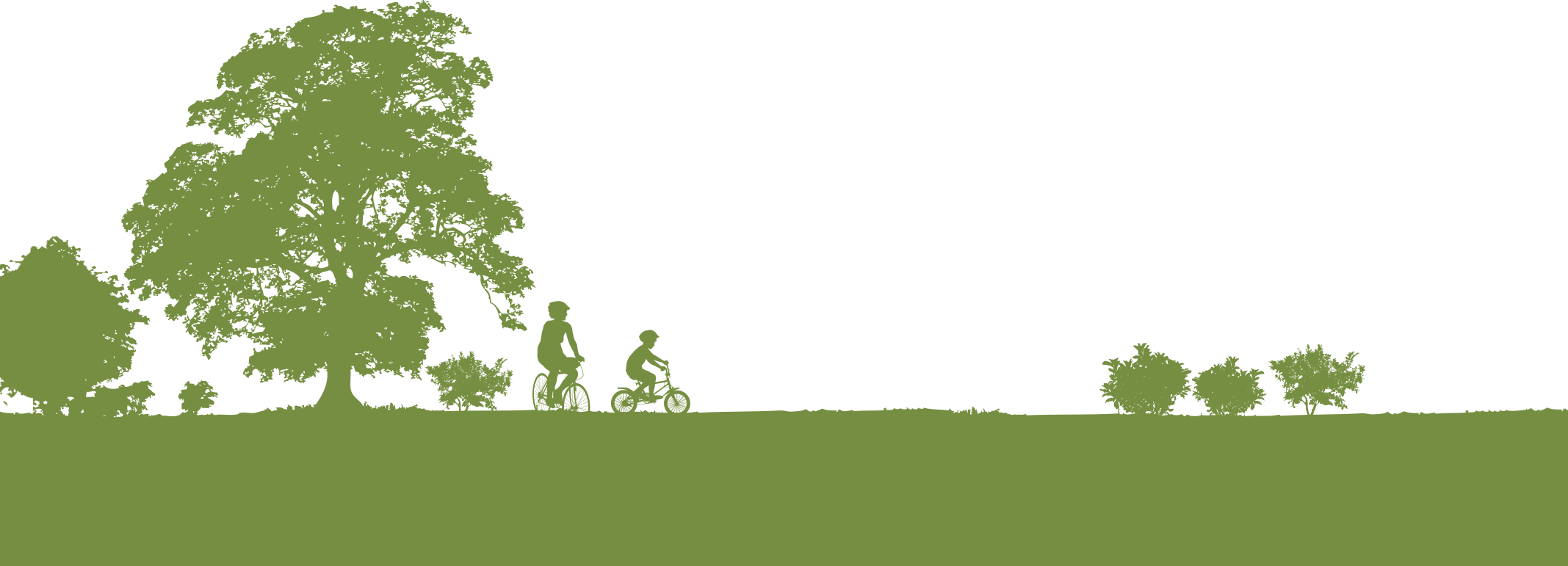 Landscaping on Staten Island Steve's Landscaping and Lawn Care